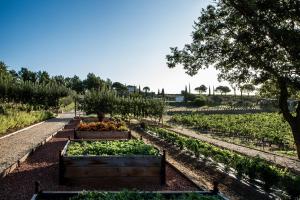 Hotels Coquillade Provence : photos des chambres