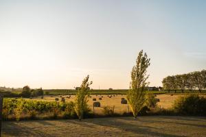 Lodges Shanti Lac Cabanes gites insolites et espace bien-etre Bordeaux : photos des chambres