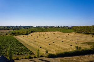 Lodges Shanti Lac Cabanes gites insolites et espace bien-etre Bordeaux : photos des chambres