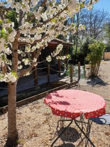 Campings Camping Le Moulin du Bleufond : photos des chambres