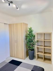 T2 bis cosy climatisé, Intra Muros Avignon