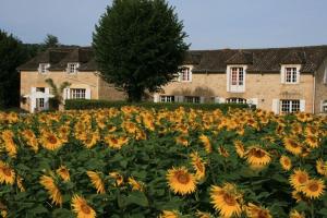 Maisons de vacances Domaine des Hirondelles : photos des chambres