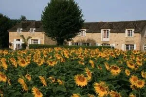 Domaine des Hirondelles - Doissat