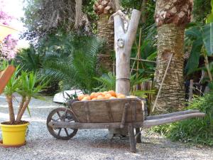 Relais de Bravone photo 21