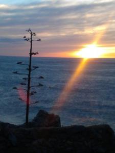 Affittacamere La Lanterna