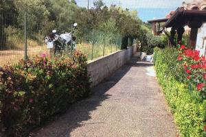 DavidHouse San Teodoro