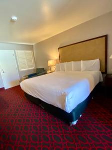 Standard King Room room in Morro Shores Inn And Suites