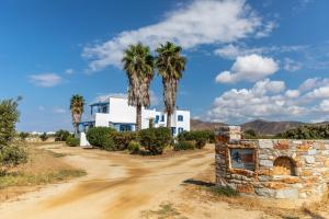 Surfer Paradise Naxos Greece