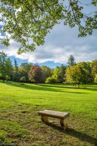 Hotels Le Chateau de la Tour : photos des chambres