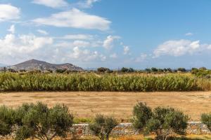 Surfer Paradise Naxos Greece