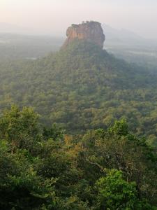 Sigiriya Thilini Homestay