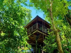 Cairns Rainforest Retreat - 凯恩斯