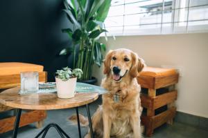 Draper Startup House ,Koramangala