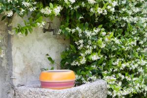 B&B I Corni di Nibbio