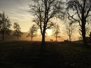 Am Grünenplatz 65 - Dabringhausen