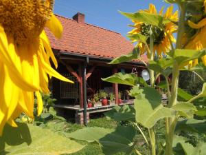 Wolna Republika Grabnik