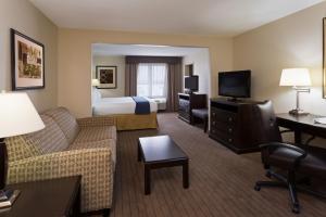 King Suite - Non-Smoking room in Holiday Inn Express & Suites Moultrie an IHG Hotel