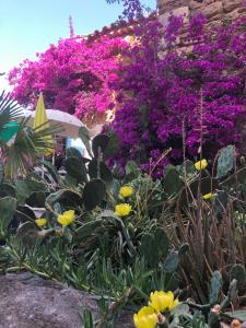 Appartements maison de vacances Medievale Bormes-les-Mimosas village : photos des chambres