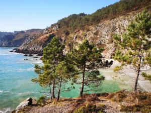 Maisons de vacances Gites de lardanva : photos des chambres