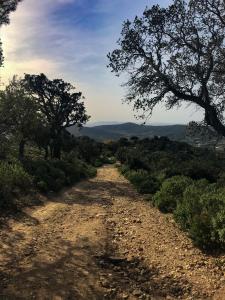 Appartements maison de vacances Medievale Bormes-les-Mimosas village : photos des chambres