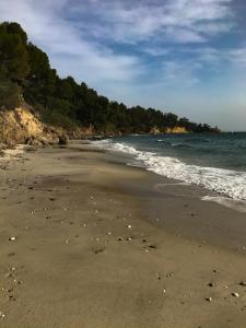 Appartements maison de vacances Medievale Bormes-les-Mimosas village : photos des chambres