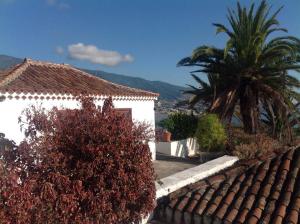 Under the Palm-trees, Breña Baja - La Palma