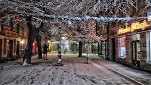 Apartment Winter Star