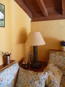 Mas Violella allotjament rural