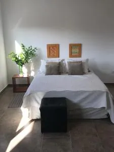 Soya departamentos A - 胡宁