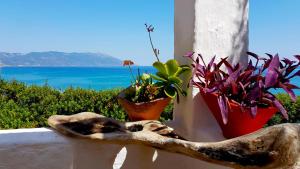 Loukoulos' maisonette Samos Greece