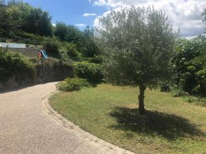 Maisons d'hotes Les terrasses du Rhone : photos des chambres