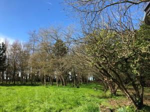 Maisons de vacances Haus unter bretonischem Horizont : photos des chambres