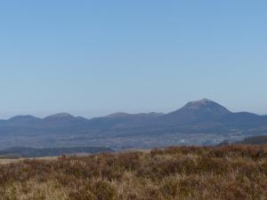 Hotels Hotel Le Progres Dorlotel : photos des chambres