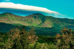 The Blossom Resort - Chikmagalur