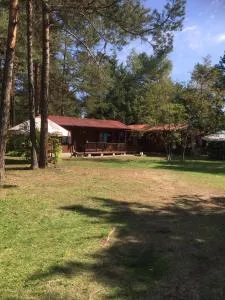 Forest Villa- domki - Nowiny