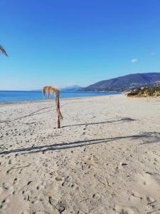 CASA VACANZE THALIA - PISCIOTTAPALINURO