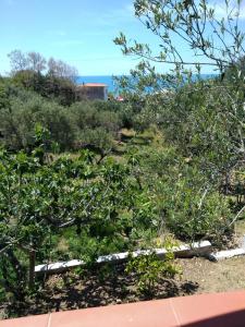 CASA VACANZE THALIA - PISCIOTTAPALINURO