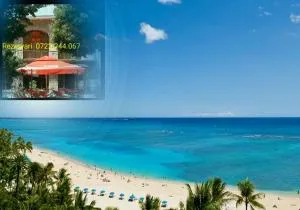 Milcov - 艾福雷诺德