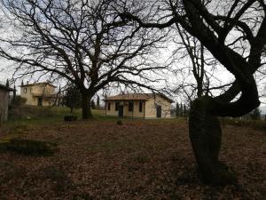 Agriturismo Podere Bianca Maria