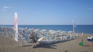 Happy Camp mobile homes in Camping Free Beach