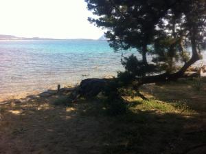 Villa Oleandro - 2349447 img12