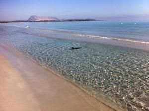 Villa Oleandro - 2349447 img11