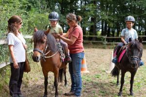 Campings Domaine de l'Oiseliere : photos des chambres