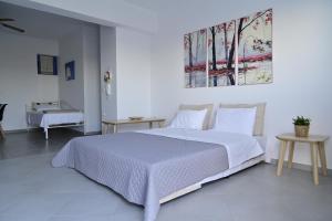 Isidoros Apartments Naxos Greece