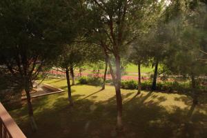 O Pinheiro - Apartment Hannah