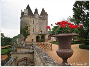 Maisons de vacances Domaine des Hirondelles : photos des chambres