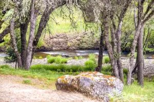 Walk to River Secluded Placerville Cabin with Deck - Pollock Pines