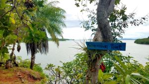 Beached Bungalow Overlooking the Pacific Ocean