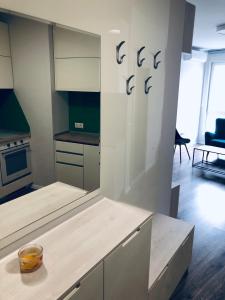 Turquoise and Magenta Apartment