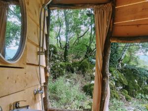 Hoopoe Glamping